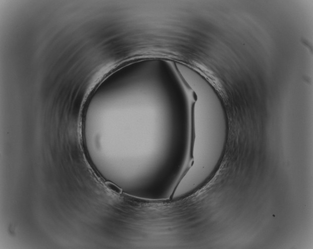 X0000091491188200709131824
