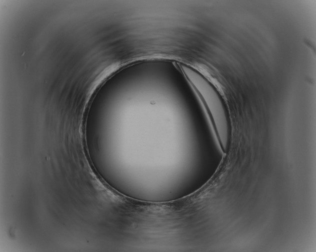 X0000091491189200709131824