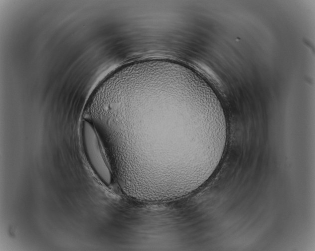 X0000091491190200709131824