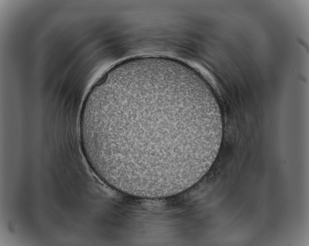 X0000091491191200709131824