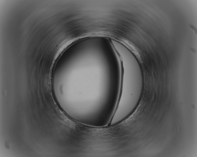 X0000091491192200709131824