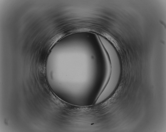 X0000091491193200709131824