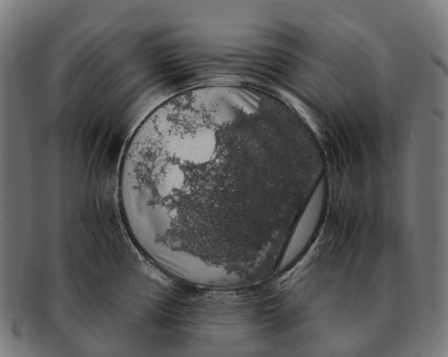 X0000091491194200709131824