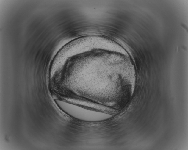 X0000091491195200709131824