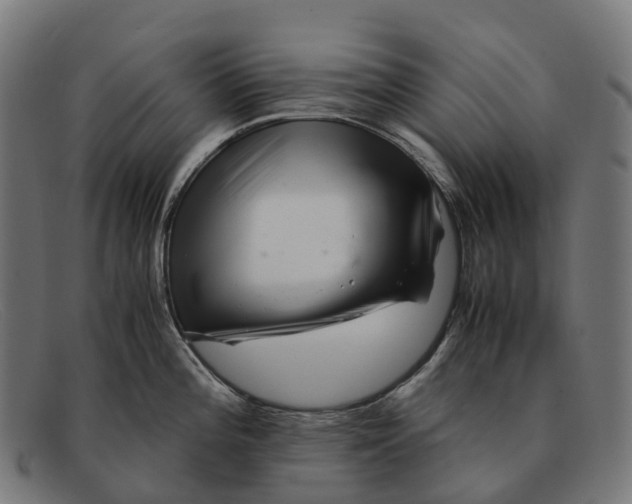 X0000091491196200709131824