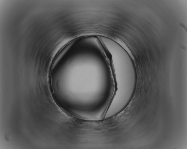 X0000091491197200709131824