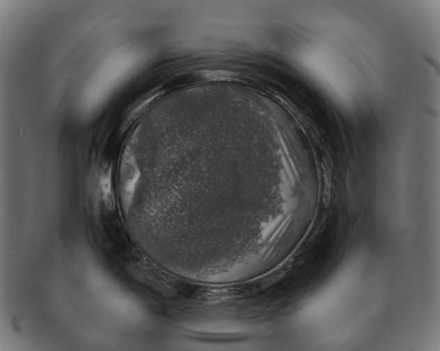 X0000091491198200709131824