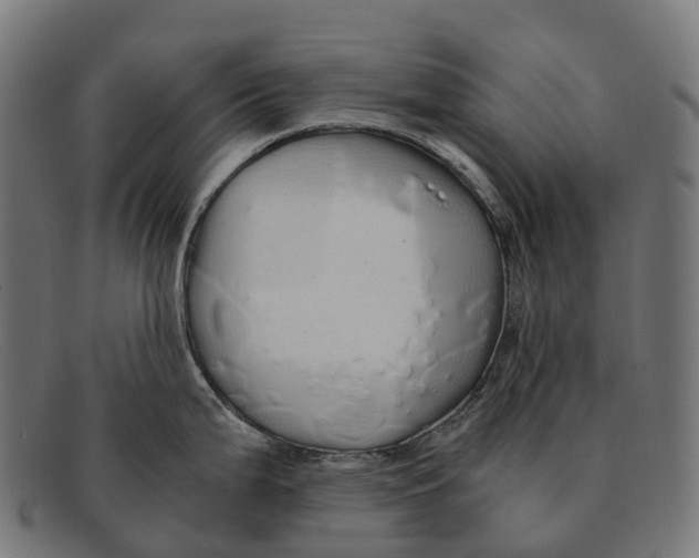 X0000091491199200709131824