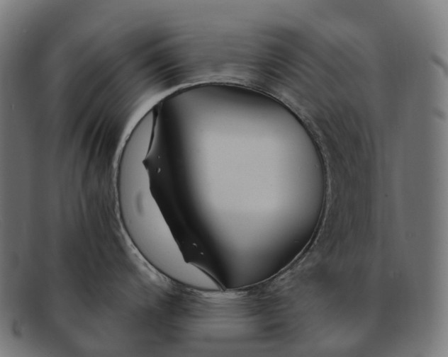 X0000091491200200709131824