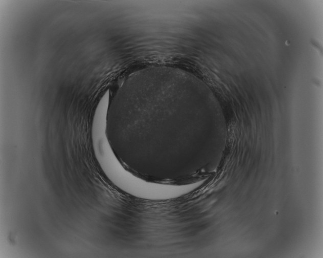 X0000091491202200709131824