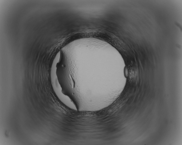 X0000091491204200709131824