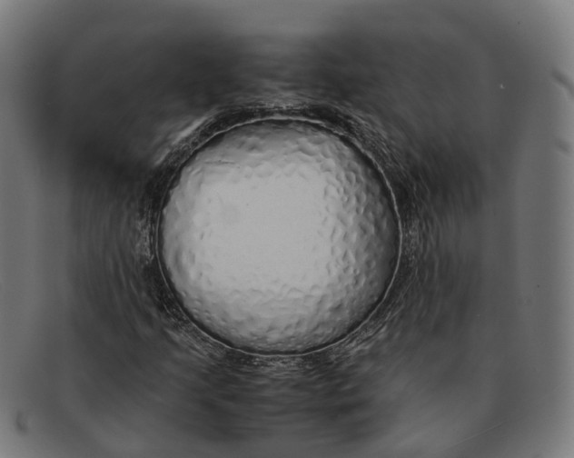 X0000091491205200709131824
