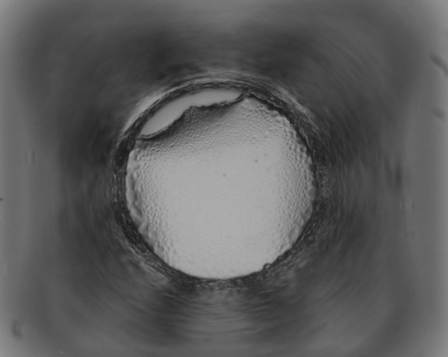 X0000091491208200709131824