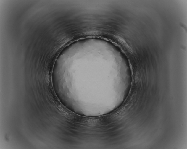 X0000091491209200709131824