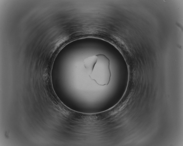 X0000091491210200709131824
