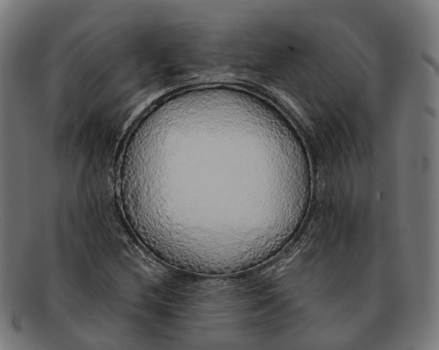 X0000091491212200709131824