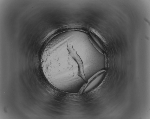 X0000091491213200709131824