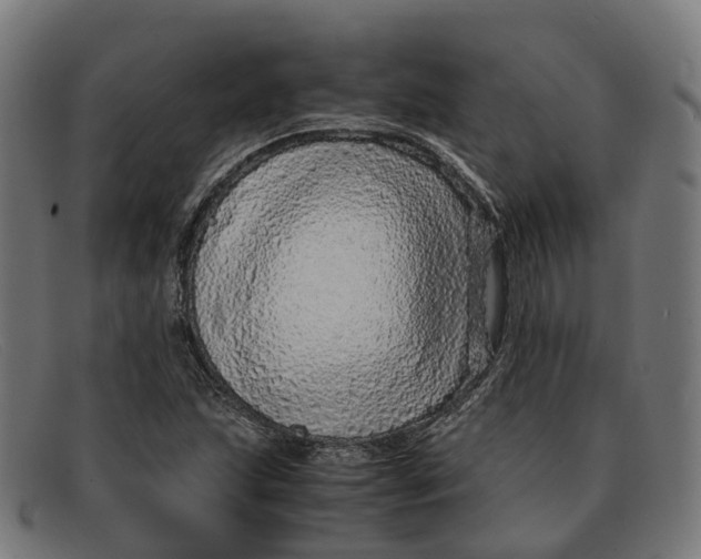 X0000091491215200709131824