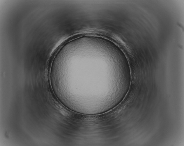 X0000091491216200709131824