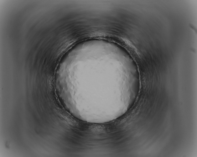 X0000091491217200709131824