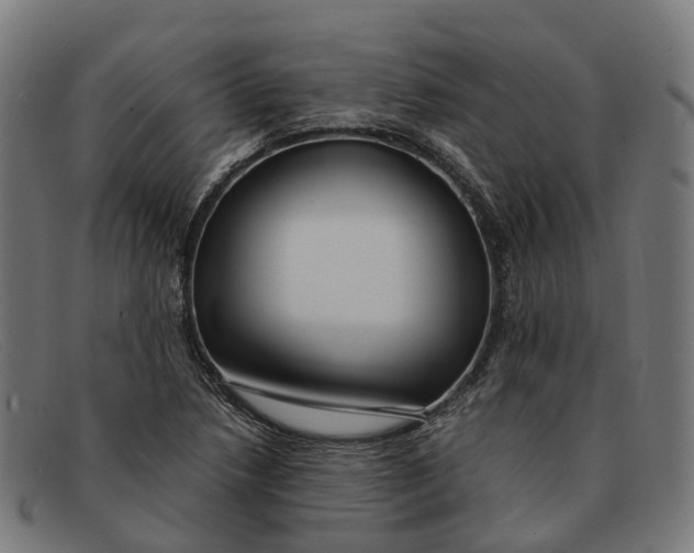 X0000091491218200709131824