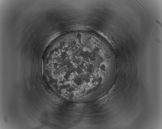 X0000091491219200709131824
