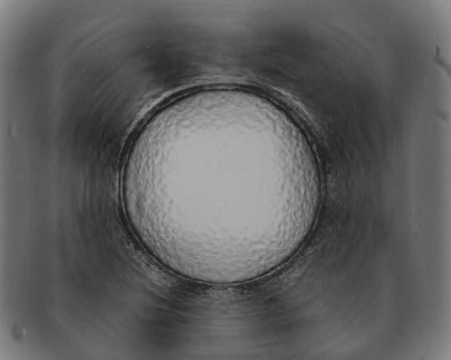 X0000091491220200709131824