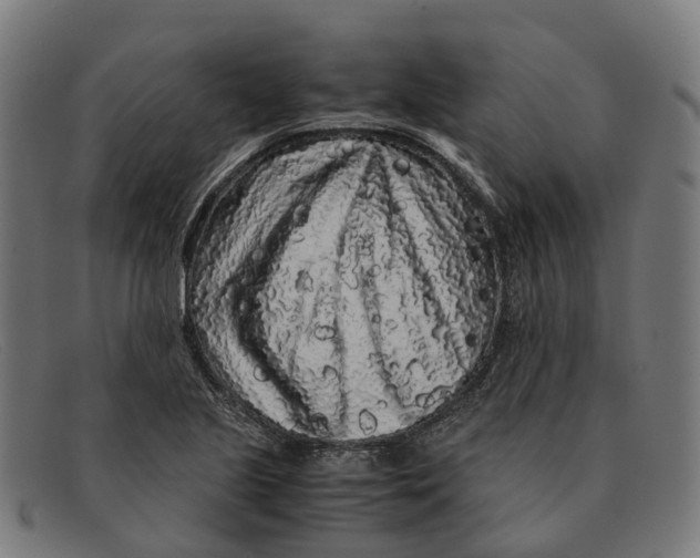 X0000091491221200709131824