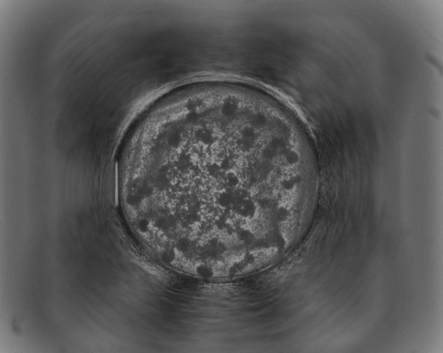 X0000091491223200709131824