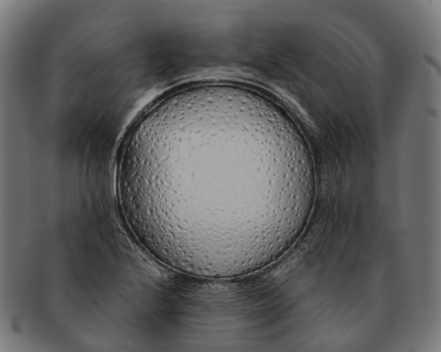 X0000091491224200709131824