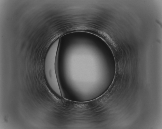 X0000091491225200709131824