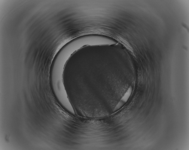 X0000091491226200709131824