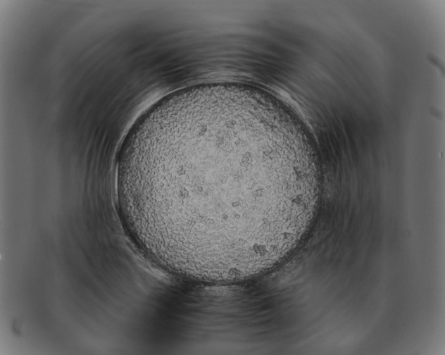 X0000091491227200709131824