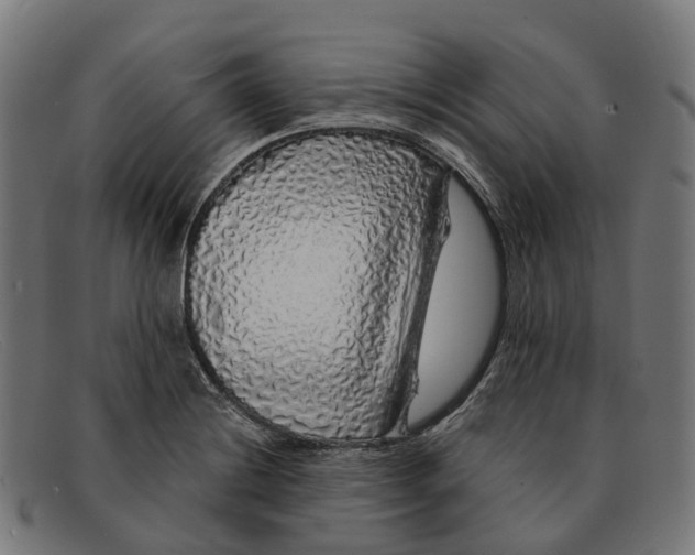 X0000091491228200709131824