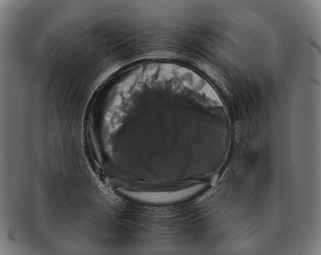 X0000091491229200709131824