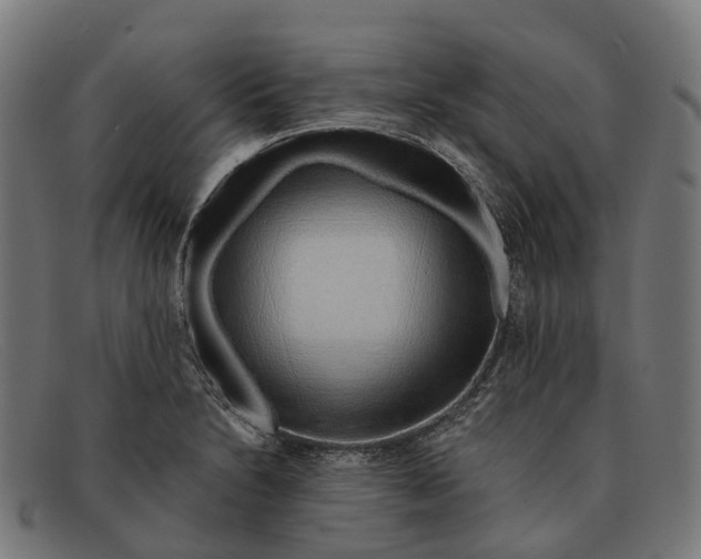 X0000091491230200709131824