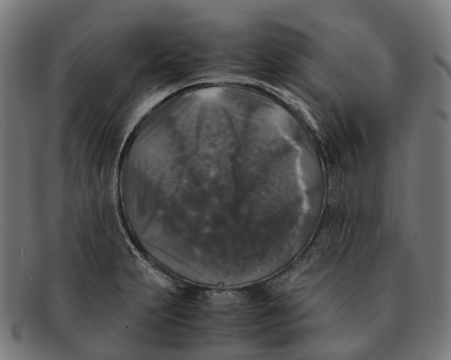 X0000091491231200709131824
