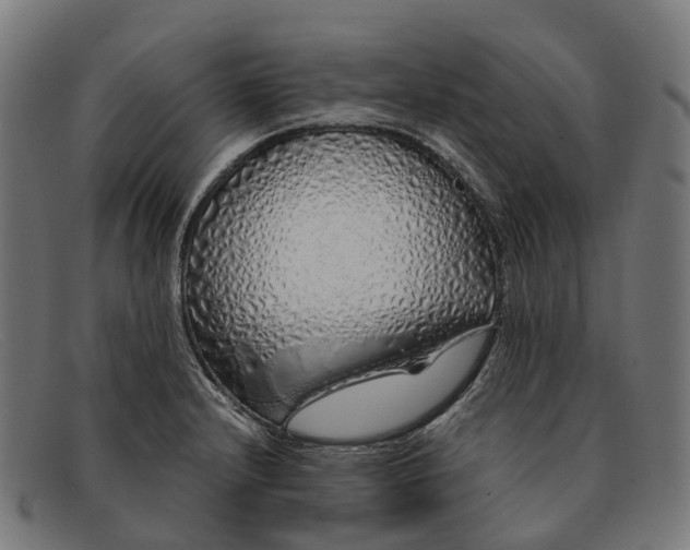 X0000091491232200709131824