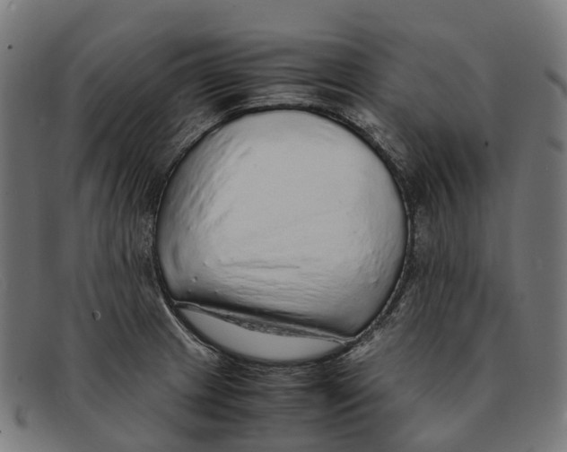 X0000091491233200709131824