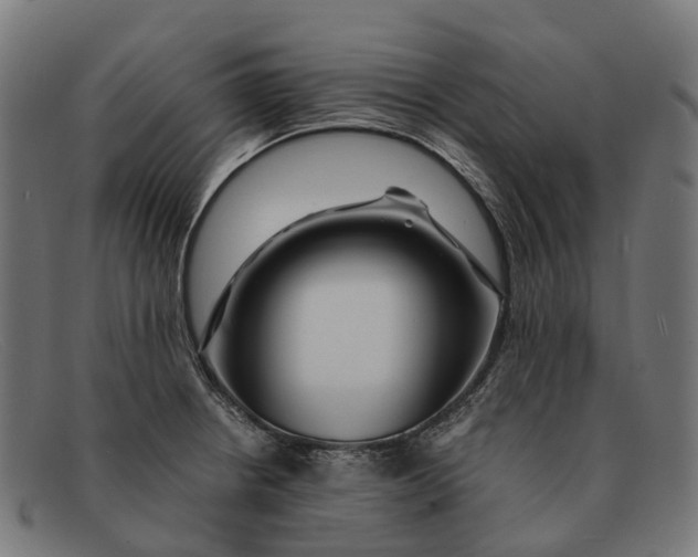 X0000091491234200709131824