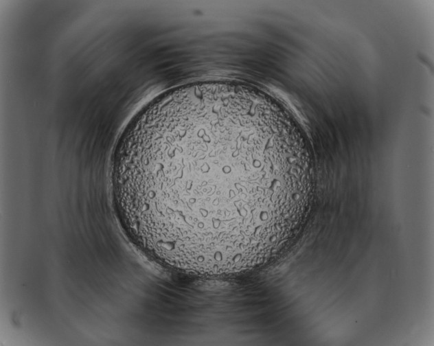 X0000091491235200709131824