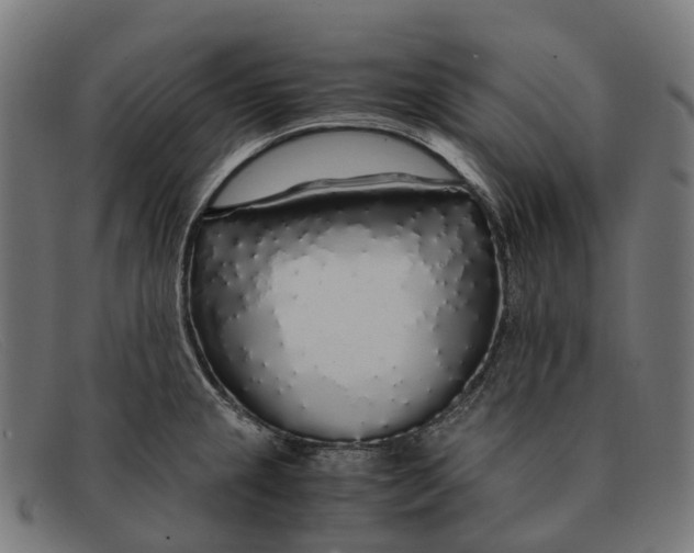 X0000091491237200709131824