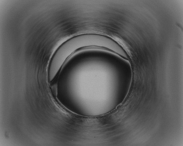 X0000091491238200709131824