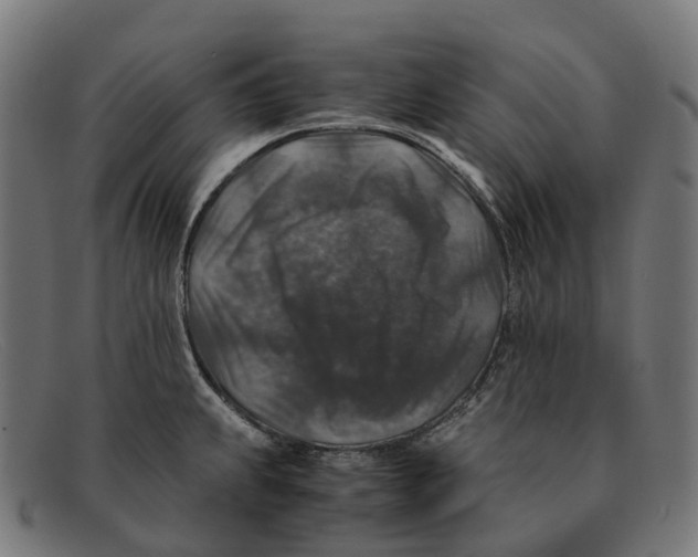 X0000091491239200709131824
