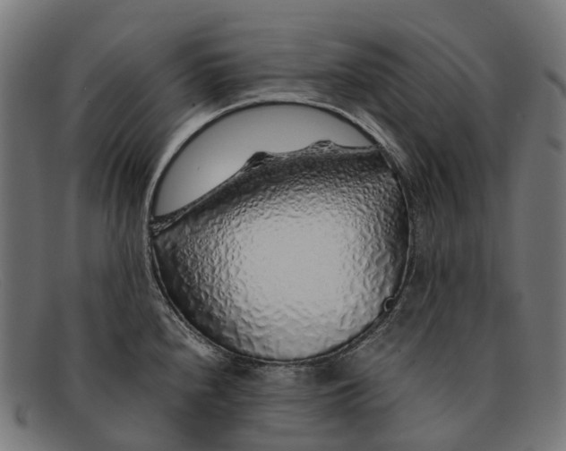 X0000091491240200709131824