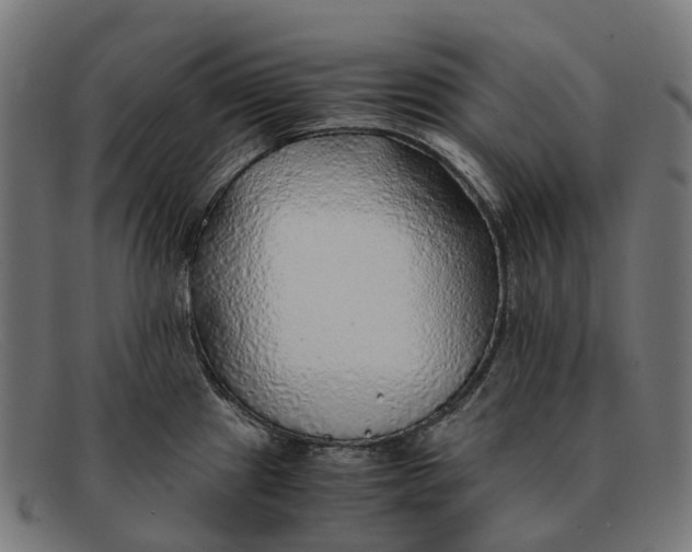 X0000091491241200709131824
