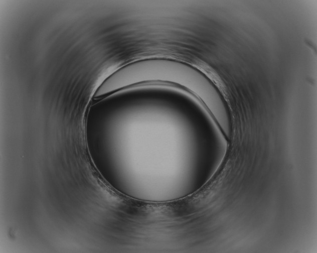 X0000091491242200709131824