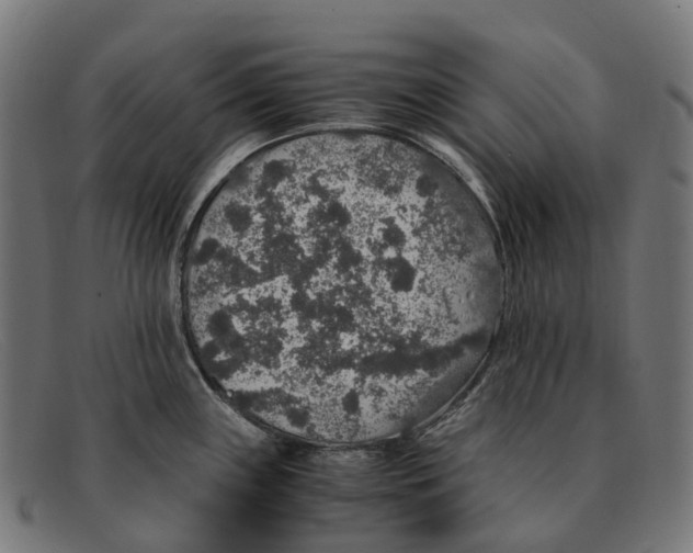 X0000091491243200709131824