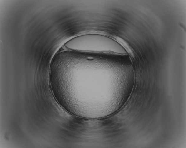 X0000091491244200709131824