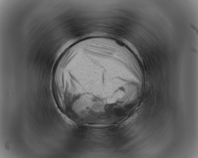 X0000091491245200709131824